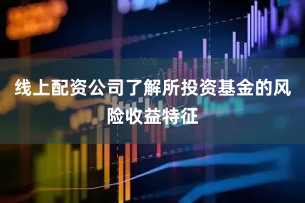 线上配资公司了解所投资基金的风险收益特征