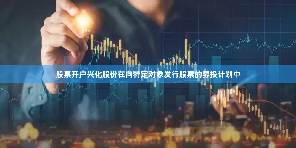 股票开户兴化股份在向特定对象发行股票的募投计划中