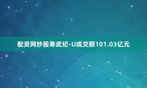 配资网炒股寒武纪-U成交额101.03亿元